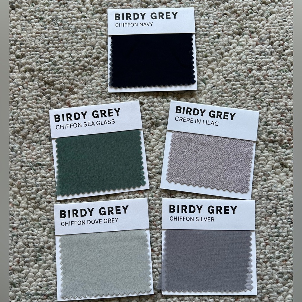 5 Birdy Grey Color Swatches